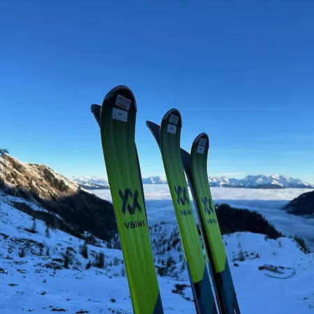 Falken 6 Apartment *